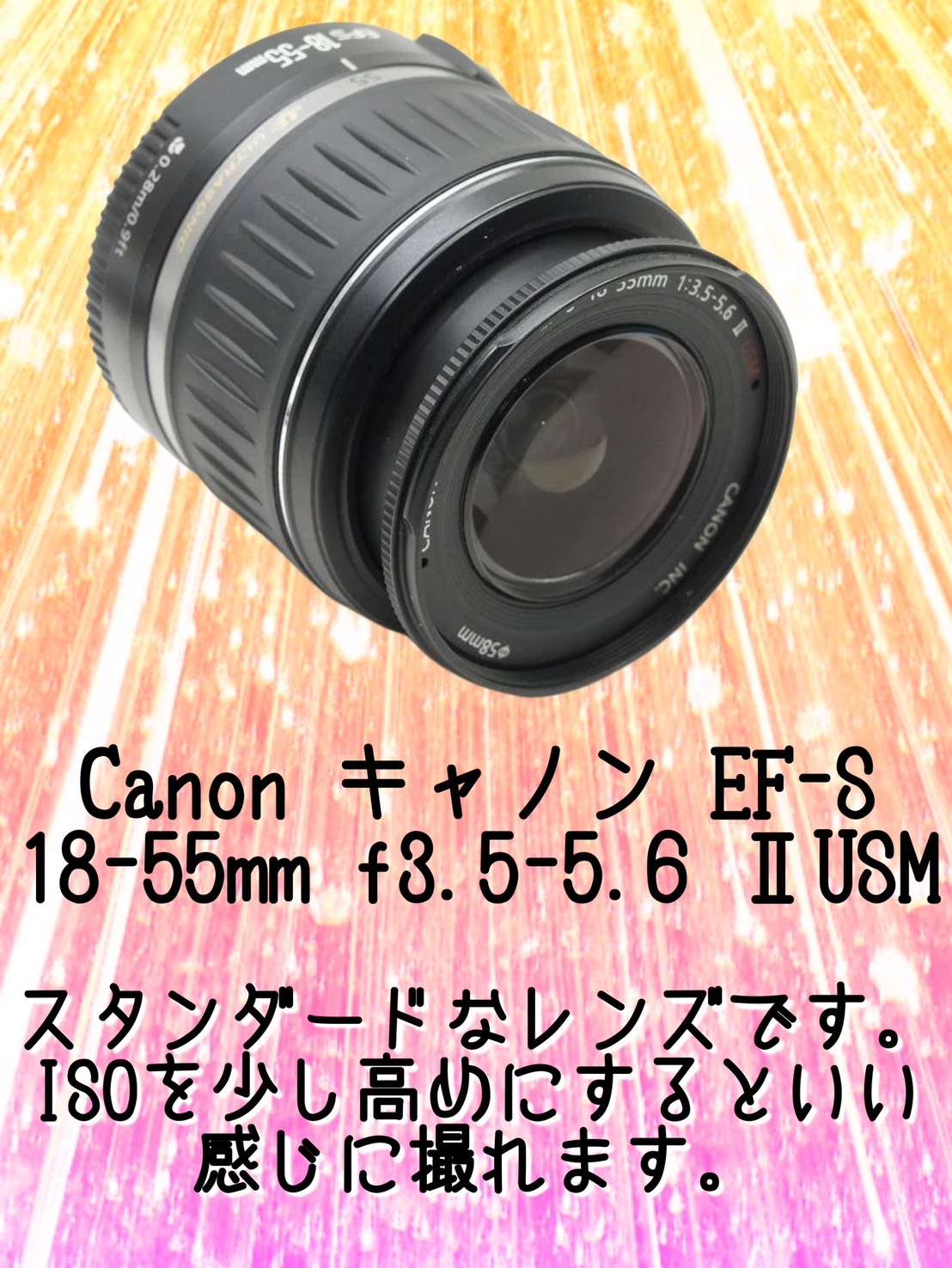 望遠レンズ