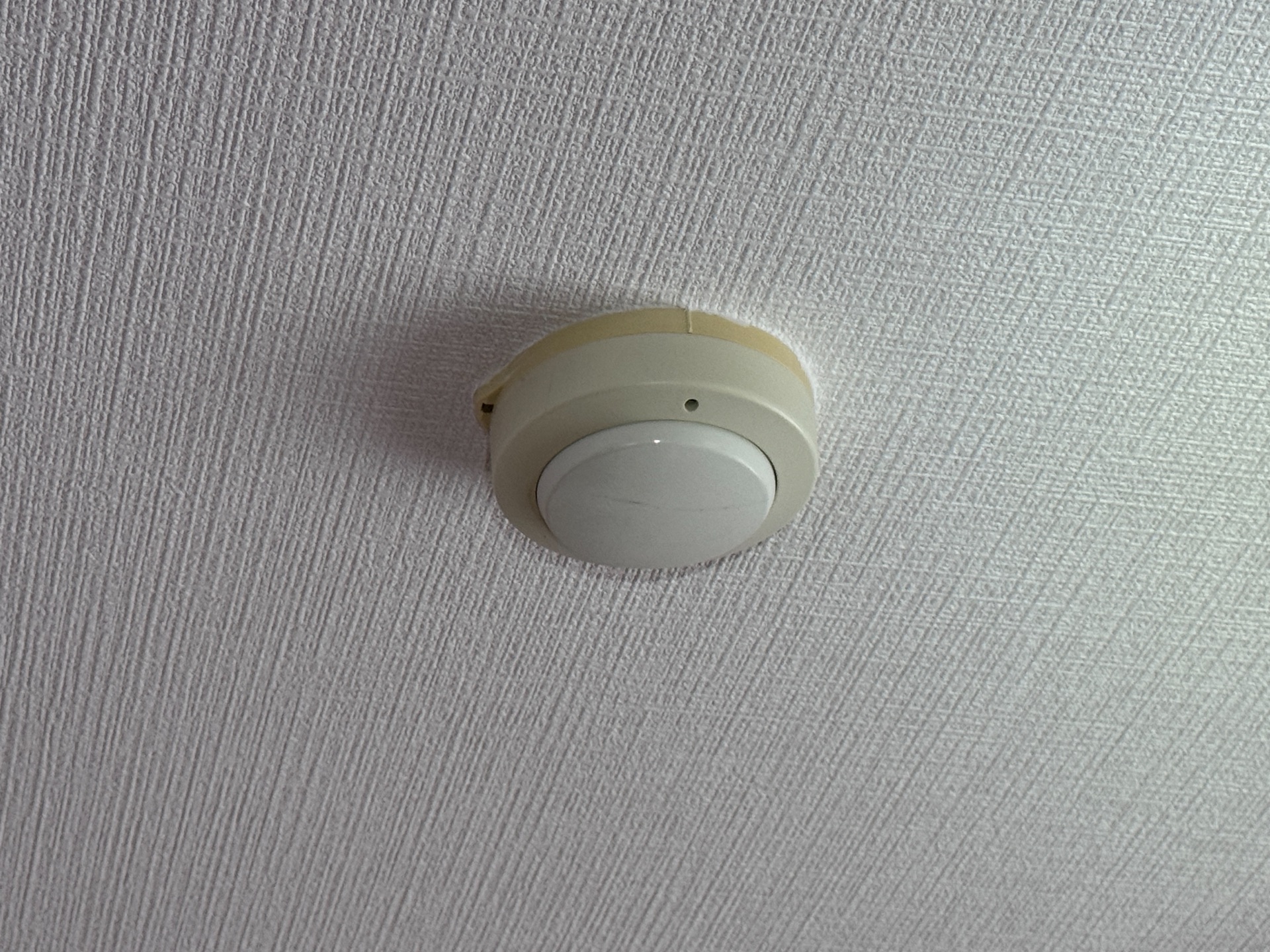 送信者: 春日貴行