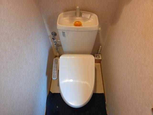 Sent by 余嵜