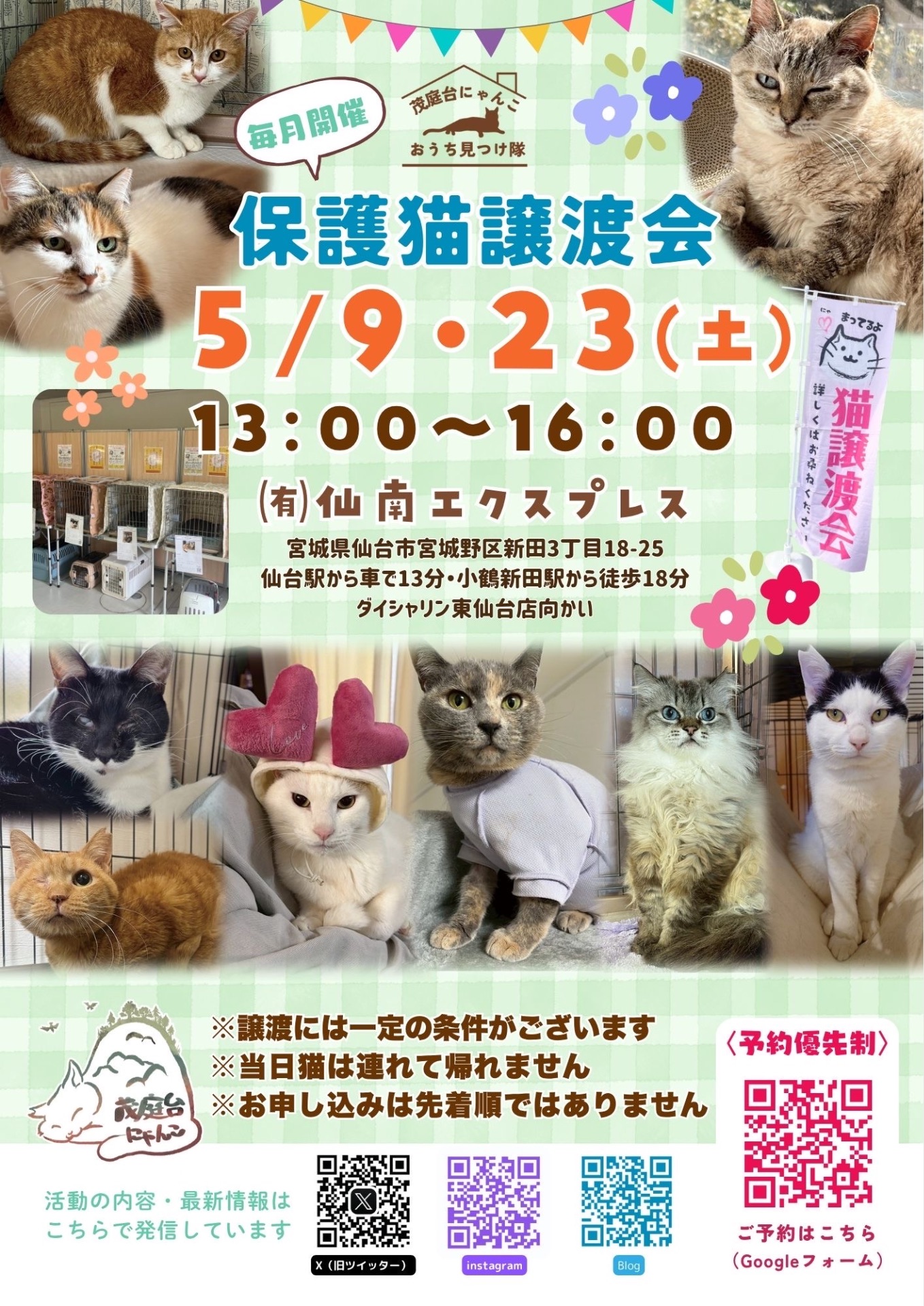 保護猫譲渡会 - TimeTree