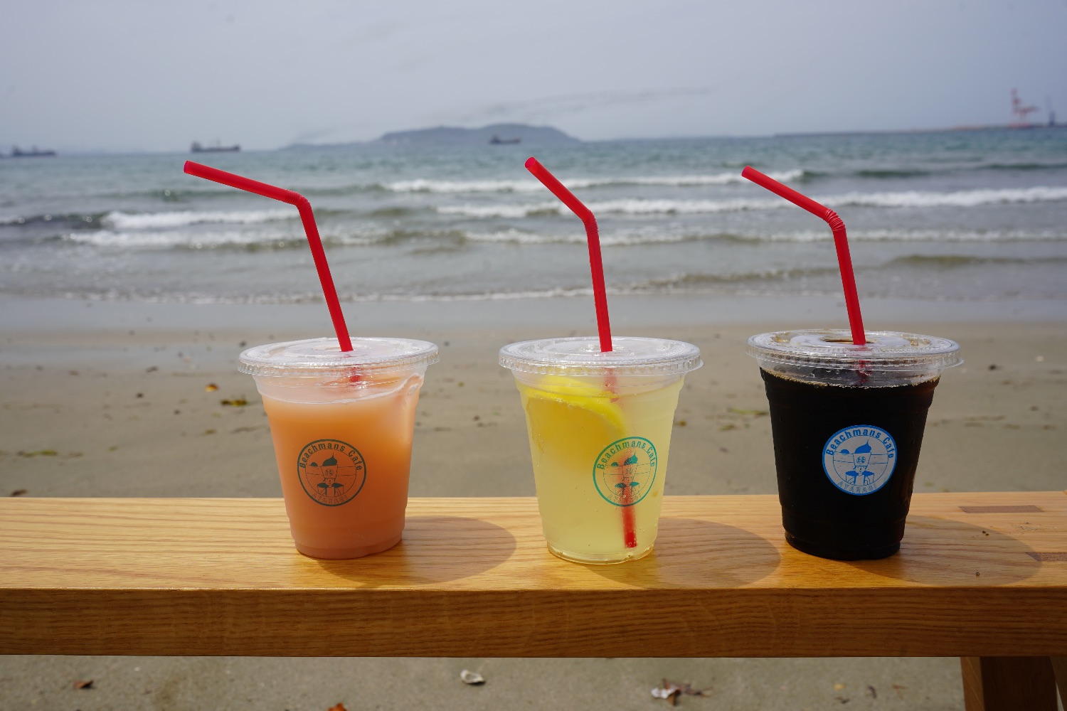 2個入り ホーム ショップ ビーチのテーマ カフェ 装飾 ぶら下げ 歓迎  木製 魚の骨格型 ビーチマンズカフェ綾羅木 - TimeTree