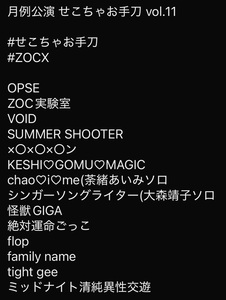 ZOCX 大森靖子　荼緒あいみ　あいちゃお　新品うちわセット 0-1750237384542.jpg