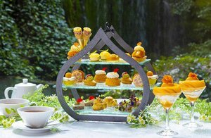 新品レア6枚set⭐️メリーゴーランド　ミモザ　婦人画報別注蝶々　旧限定色朝食 KPGQOCAZQDKYQLM3FSGVK2TISU.jpg